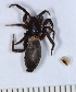 ( - NHMO_ARA00010)  @12 [ ] Unspecified (default): All Rights Reserved  Unspecified Unspecified