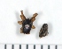  ( - NHMO_ARA00164)  @12 [ ] Unspecified (default): All Rights Reserved  Unspecified Unspecified
