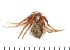 ( - NHMO_ARA00213)  @13 [ ] Unspecified (default): All Rights Reserved  Unspecified Unspecified