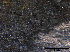  ( - TROM-F15830)  @11 [ ] CreativeCommons - Attribution Non-Commercial Share-Alike (2015) Unspecified Tromso University Museum