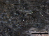  ( - TROM-F15830)  @11 [ ] CreativeCommons - Attribution Non-Commercial Share-Alike (2015) Unspecified Tromso University Museum