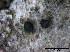  ( - TROM-F15834)  @11 [ ] CreativeCommons - Attribution Non-Commercial Share-Alike (2015) Unspecified Tromso University Museum