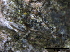  ( - TROM-F15836)  @11 [ ] CreativeCommons - Attribution Non-Commercial Share-Alike (2015) Unspecified Tromso University Museum