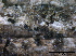  ( - TROM-F15841)  @11 [ ] CreativeCommons - Attribution Non-Commercial Share-Alike (2015) Unspecified Tromso University Museum