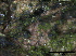  ( - TROM-F15843)  @11 [ ] CreativeCommons - Attribution Non-Commercial Share-Alike (2015) Unspecified Tromso University Museum