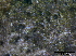 ( - TROM-F15845)  @11 [ ] CreativeCommons - Attribution Non-Commercial Share-Alike (2015) Unspecified Tromso University Museum
