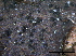  ( - TROM-F15848)  @11 [ ] CreativeCommons - Attribution Non-Commercial Share-Alike (2015) Unspecified Tromso University Museum