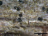  ( - TROM-F15849)  @11 [ ] CreativeCommons - Attribution Non-Commercial Share-Alike (2015) Unspecified Tromso University Museum