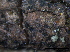  ( - TROM-F15853)  @11 [ ] CreativeCommons - Attribution Non-Commercial Share-Alike (2015) Unspecified Tromso University Museum