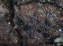  ( - TROM-F15853)  @11 [ ] CreativeCommons - Attribution Non-Commercial Share-Alike (2015) Unspecified Tromso University Museum