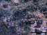  ( - TROM-F15862)  @11 [ ] CreativeCommons - Attribution Non-Commercial Share-Alike (2015) Unspecified Tromso University Museum