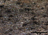  ( - TROM-F15867)  @11 [ ] CreativeCommons - Attribution Non-Commercial Share-Alike (2015) Unspecified Tromso University Museum