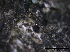  ( - TROM-F15869)  @11 [ ] CreativeCommons - Attribution Non-Commercial Share-Alike (2015) Unspecified Tromso University Museum