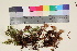  ( - TROM_F_17082)  @11 [ ] CreativeCommons - Attribution Non-Commercial Share-Alike (2016) Unspecified Tromsø University Museum