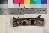  ( - TROM-F-25014)  @11 [ ] CreativeCommons - Attribution Non-Commercial Share-Alike (2017) Unspecified Tromsø University Museum