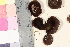  ( - TROM_F_26197)  @11 [ ] CreativeCommons - Attribution Non-Commercial Share-Alike (2016) Unspecified Tromsø University Museum