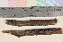  ( - TROM-F-39278)  @11 [ ] CreativeCommons - Attribution Non-Commercial Share-Alike (2017) Unspecified Tromsø University Museum