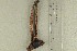  ( - O-F-64647)  @11 [ ] by-nc-sa (2021) Unspecified University of Oslo, Natural History Museum