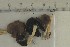  ( - O-F-67174)  @11 [ ] by-nc-sa (2021) Unspecified University of Oslo, Natural History Museum