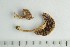  ( - O-F-69635)  @11 [ ] by-nc-sa (2021) Unspecified University of Oslo, Natural History Museum