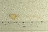  ( - O-F-73333)  @11 [ ] by-nc-sa (2021) Unspecified University of Oslo, Natural History Museum