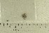  ( - O-F-154878)  @11 [ ] by-nc-sa (2022) Unspecified University of Oslo, Natural History Museum