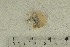  ( - O-F-166113)  @11 [ ] by-nc-sa (2021) Unspecified University of Oslo, Natural History Museum