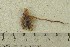  ( - O-F-168409)  @11 [ ] by-nc-sa (2021) Unspecified University of Oslo, Natural History Museum