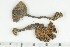  ( - O-F-169140)  @11 [ ] by-nc-sa (2021) Unspecified University of Oslo, Natural History Museum