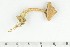  ( - O-F-169313)  @11 [ ] by-nc-sa (2021) Unspecified University of Oslo, Natural History Museum
