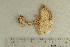 ( - O-F-169692)  @11 [ ] by-nc-sa (2021) Unspecified University of Oslo, Natural History Museum