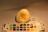  ( - TROM_F_17328)  @11 [ ] CreativeCommons - Attribution Non-Commercial Share-Alike (2017) Unspecified Tromsø University Museum