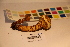 ( - TROM_F_17378)  @11 [ ] CreativeCommons - Attribution Non-Commercial Share-Alike (2017) Unspecified Tromsø University Museum