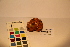  ( - TROM_F_17396)  @11 [ ] CreativeCommons - Attribution Non-Commercial Share-Alike (2017) Unspecified Tromsø University Museum