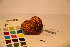  ( - TROM_F_17396)  @11 [ ] CreativeCommons - Attribution Non-Commercial Share-Alike (2017) Unspecified Tromsø University Museum