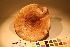  ( - TROM_F_17407)  @11 [ ] CreativeCommons - Attribution Non-Commercial Share-Alike (2017) Unspecified Tromsø University Museum