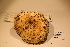  ( - TROM_F_17420)  @11 [ ] CreativeCommons - Attribution Non-Commercial Share-Alike (2017) Unspecified Tromsø University Museum