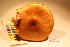  ( - TROM_F_17450)  @11 [ ] CreativeCommons - Attribution Non-Commercial Share-Alike (2017) Unspecified Tromsø University Museum
