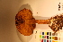  ( - TROM_F_17450)  @11 [ ] CreativeCommons - Attribution Non-Commercial Share-Alike (2017) Unspecified Tromsø University Museum