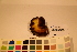  ( - TROM_F_17471)  @11 [ ] CreativeCommons - Attribution Non-Commercial Share-Alike (2017) Unspecified Tromsø University Museum