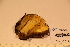  ( - TROM_F_17471)  @11 [ ] CreativeCommons - Attribution Non-Commercial Share-Alike (2017) Unspecified Tromsø University Museum