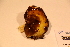 ( - TROM_F_17471)  @11 [ ] CreativeCommons - Attribution Non-Commercial Share-Alike (2017) Unspecified Tromsø University Museum