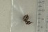 ( - O-F-179143)  @11 [ ] by-nc-sa (2021) Unspecified University of Oslo, Natural History Museum