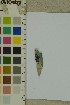  ( - O-F-203768)  @11 [ ] by-nc-sa (2023) Unspecified University of Oslo, Natural History Museum