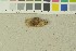 ( - O-F-203995)  @11 [ ] by-nc-sa (2016) Unspecified University of Oslo, Natural History Museum