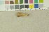  ( - O-F-204022)  @11 [ ] by-nc-sa (2023) Unspecified University of Oslo, Natural History Museum