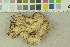  ( - O-F-204047)  @11 [ ] by-nc-sa (2023) Unspecified University of Oslo, Natural History Museum