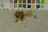  ( - O-F-204168)  @11 [ ] by-nc-sa (2023) Unspecified University of Oslo, Natural History Museum