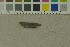  ( - O-F-204222)  @11 [ ] by-nc-sa (2023) Unspecified University of Oslo, Natural History Museum