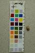  ( - O-F-204395)  @11 [ ] by-nc-sa (2025) Unspecified University of Oslo, Natural History Museum